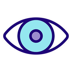 Vision